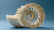 © olegkruglyak3 - Cutaway nautilus shell interior showing Fibonacci spiral