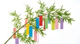 Vector illustration of a red bamboo branch with fresh leaves isolated on a white background, perfect for nature and plant decoration