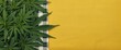© vxnaghiyev - Green marijuana leaves on checkered picnic cloth with natural yellow fabric backdrop and copy space
