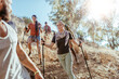 © Marko Geber - Group of friends hiking downhill on a sunny forest trail