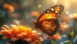 © Zulfikar - Monarch on flower