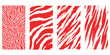 © GraphixEra - Set of four abstract red and white tiger stripe patterns for creative graphic design and modern background textures