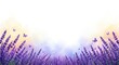 © Niken - Watercolor illustration of purple lavender flowers with butterflies, soft pastel background with ample copy space.