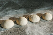 © RetoricMedia - Fresh pizza dough balls resting on wooden kitchen table, authentic Italian artisanal pizzeria concept, proofing and baking preparation close-up