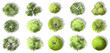© Chanya_B - Vector set of Top view green tree for outdoor plan or map and architecture drawing, elements for environment and garden ,botanical elements ,Blooming flowers in spring,tropical plants element