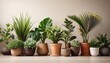 © Christina - a row of potted plants with different sizes and shapes