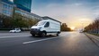 © Iacopo - white ford transit cargo van driving on city street