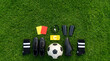 © Rizz All - Soccer equipment neatly arranged on a green field, including a ball, cleats, socks, shin guards, and referee cards