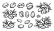 © labu - Black and White Pistachio Nuts Hand Drawn Vector Sketch Illustration Pack