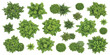 © ZenVectors - Set of green trees and bushes top view for architectural landscape design and garden planning site layout