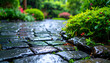 © Umechi - 雨の日の濡れた石畳と瑞々しい緑の庭園　梅雨の季節の植物と落ち着いた風景　ウェブサイトのバナーや癒しのブログ記事の背景に使えるローアングル写真素材　しっとりと濡れた路面の質感と雨の日の情緒ある自然の風景写真