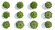 © Soem - A collection of tree canopies are arranged on a white background. The tree tops are of varying sizes and shapes, showcasing different tree species.