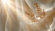 © Hasna - Golden sunrays illuminate delicate dried grasses against soft, flowing fabric