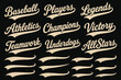 © Alomgir - Vintage baseball script swooshes and swashes with dynamic retro wave tails. Athletic lettering and typographic underlines for sports logos, apparel, and branding.