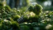 © TRIMAH - Eco friendly light bulb filled with green moss and a tiny tree on a lush forest floor with soft sunlight