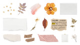 PNG Vintage scrapbook elements collection on transparent background