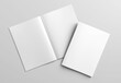 © sdecoret - Magazine cover and open magazine Mockup on white background with shadows. 3D rendering