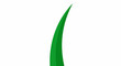 © terto - A single green blade of grass curving upwards against a white backdrop