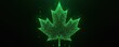 © Viktor - Green maple leaf formed by binary code on dark background. Digital art symbolizes Canadian tech industry and data. Abstract concept for innovation and cyber security.