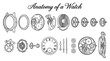 © Dr. Click - Detailed Anatomy of a Mechanical Watch Vector Illustration: Exploded View of Clockwork Components, Gears, and Movement Mechanism