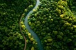 © Asawin - An aerial view of a winding river flowing through a dense, vibrant green forest. The lush canopy of trees creates a stunning natural landscape, with a narrow path running alongside the river