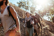 © Marko Geber - Group of friends hiking up sunny forest trail