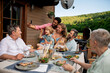 © Halfpoint - Multigenerational family having bbq party and taking selfie.