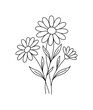 © Александр Михайлюк - Three daisies of different sizes grouped together in a natural floral clump, minimalist elegant black line art illustration,