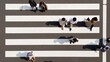 © olga_demina - Aerial top-down shot of several pedestrians walking across pristine white zebra crossing stripes on dark asphalt, casting long diagonal shadows on a clear sunny day in an urban setting.