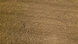 © Anna Baranova - Overhead view of mature wheat field texture background