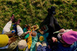 © Iuliia Versta/Stocksy - Family picnic from above on grassy meadow