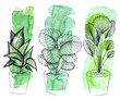 © KKGAS/Stocksy - Analog watercolor painting of house plants