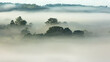 © Nicholas Matev/Stocksy - Treetops in morning fog.