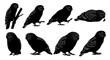 © Kariyatun Stock - Eight birds are standing and sitting on branches in various poses.