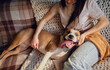 © master1305 - Happy dog cuddling with woman on cozy sofa in warm home lifestyle. Concept of pet friendship, home comfort, animal care, adoption, emotional bonding, and lifestyle ads.