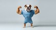 © MdEmran - Strong Bulldog Flexing Muscles Representing Fitness Strength Determination Confidence And Healthy Lifestyle Concept