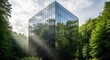 © MSTMAYA - Tall glass cube office building reflecting surrounding forest trees under a cloudy sky with soft sun rays piercing through the morning atmosphere