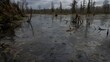 © yi - murky. Murky swamp with rising bubbles and decaying plant matter floating on dark water. ESG reports, sustainability campaigns, designed for environmental awareness campaigns, used by teachers.