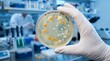 © Cleverson - Scientist in lab coat and gloves holds petri dish with bacterial colonies E coli S aur 24H 10 26 in a research laboratory setting with equipment