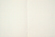 © Родион Бондаренко - blank notebook sheet in a blue grid close up