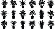 © Miraz - Set of potted houseplant silhouettes featuring various tropical foliage and decorative indoor plants in black vector format