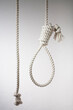 © Westend61 - Hangman's noose, close up