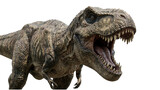 t rex dinosaur roaring on transparent background