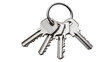 © Ophelia - Set of four silver metal keys on a ring