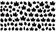 © hp - Black leaf silhouettes, varying sizes, scattered on a white backdrop, capturing nature's diversity and intricate shapes