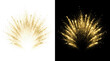 © ณภัทร วงค์มาวิวัฒน์ - Golden Burst Explosion: A radiant golden powder explosion bursts forth with sparkling particles against both white and black backgrounds, creating a dynamic and celebratory visual.