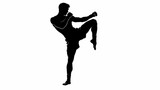 Black silhouette of a martial arts fighter performing a powerful high knee strike kick in a dynamic pose