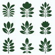 © Golam - Set of green leaf and flower silhouettes on white background for design and decoration purposes  various shapes and sizes