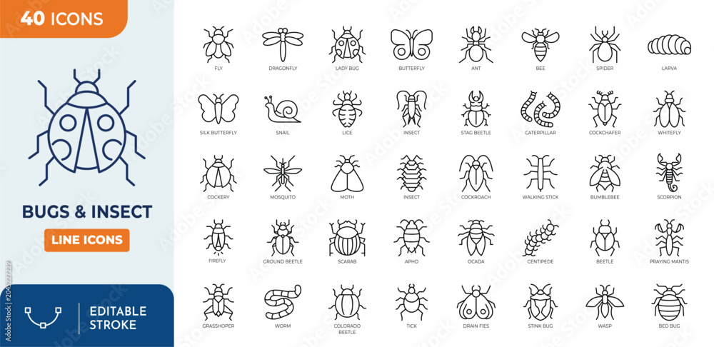 Beetle Bug Vector Insect icon set. Contain icons related to Insects and bugs. Editable ...
