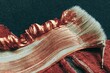 © Breezze - Cherry red textured surface with a thick metallic brushstroke sweeping across for luxury branding, artistic background and elegant editorial design template